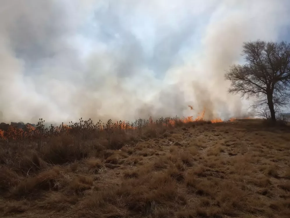 e909121c-231c-4331-8fca-105ff4d10825