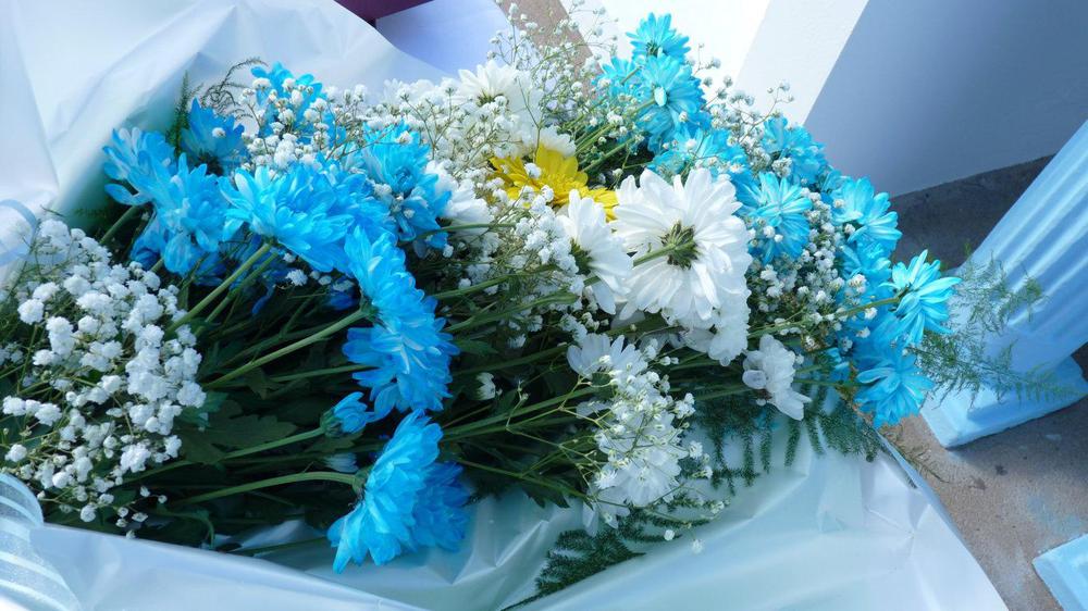 P1090153 (FILEminimizer)