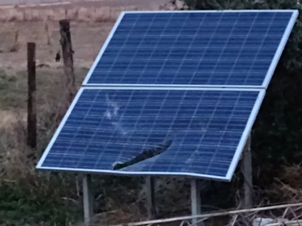 IMG_20210831_191649062 (FILEminimizer)