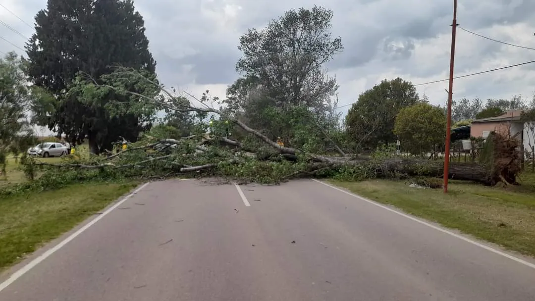 FB_IMG_1697921890353