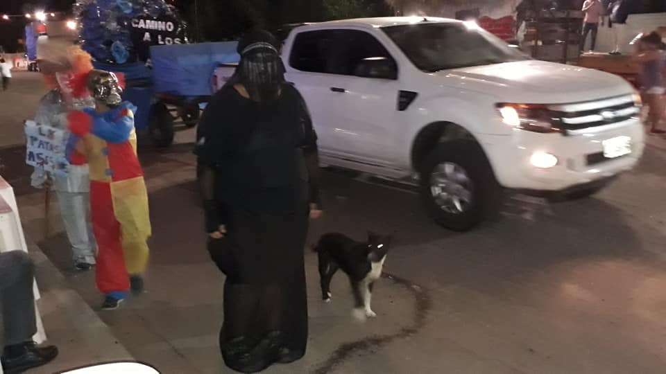 51626451_2301235366554789_456315742346805248_n