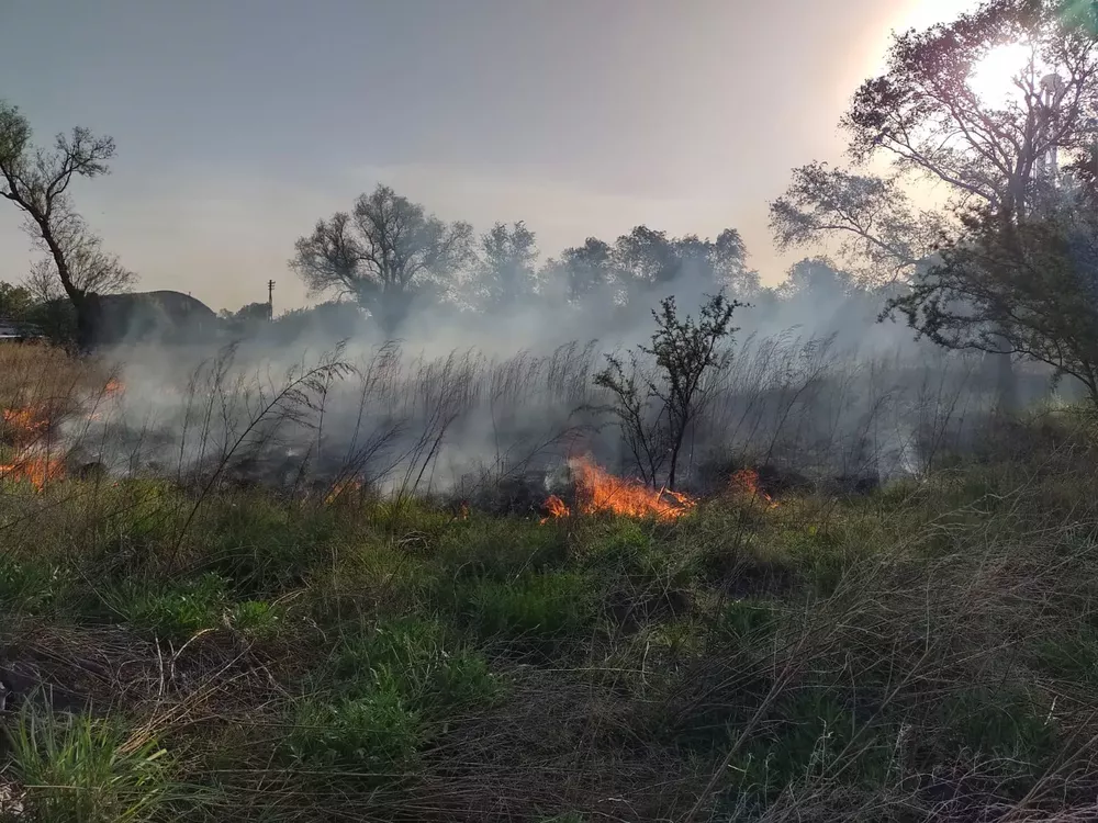 97e4dabf-851d-483a-b2c6-eed16f9ccc69