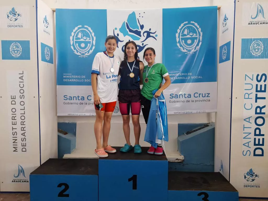 90437_araucania311213