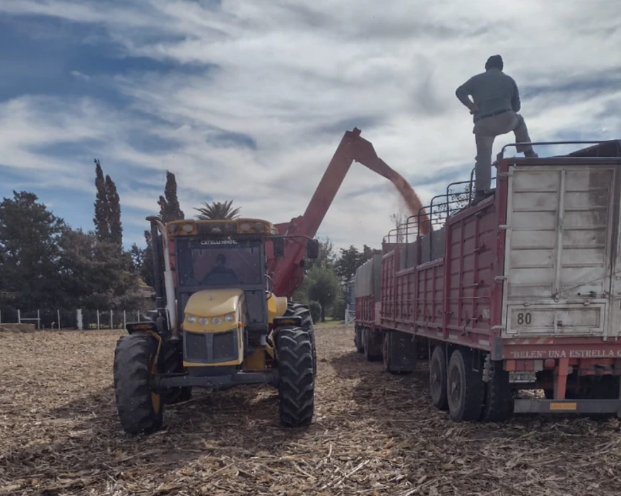 PP47LFZ7I5H37GCFDSJHBDR45U