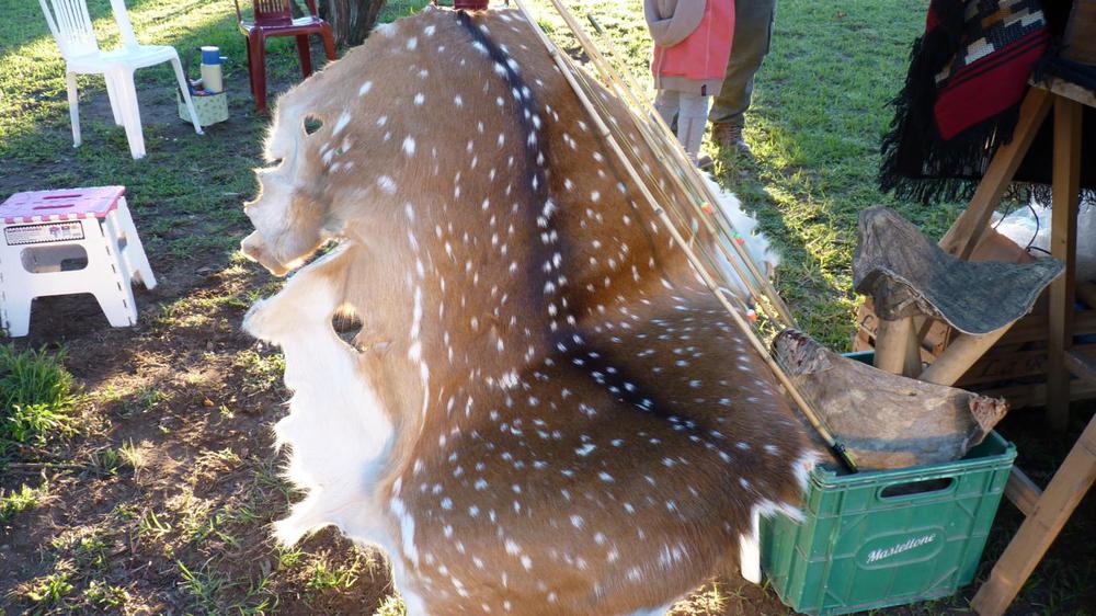 P1090400 (FILEminimizer)