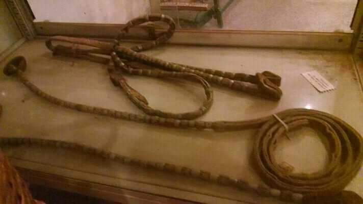 FB_IMG_1573390179550