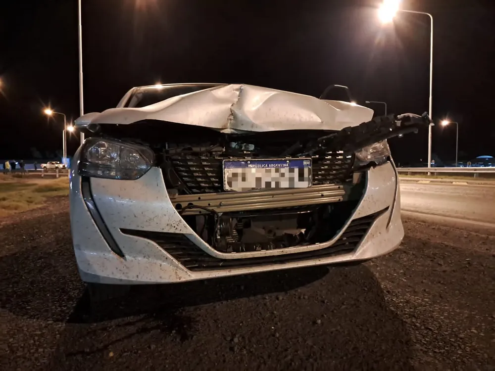 52752dfd-8880-468e-941f-f493e0e5112c