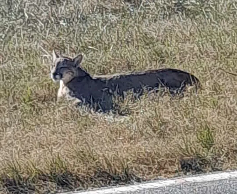 b4840551-eb22-4dfd-b69d-2e1cfceab2b7