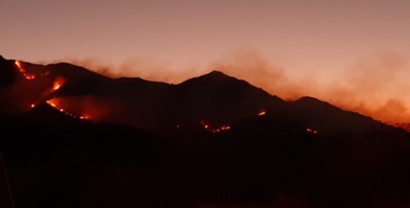 INCENDIO SAN LUIS 1
