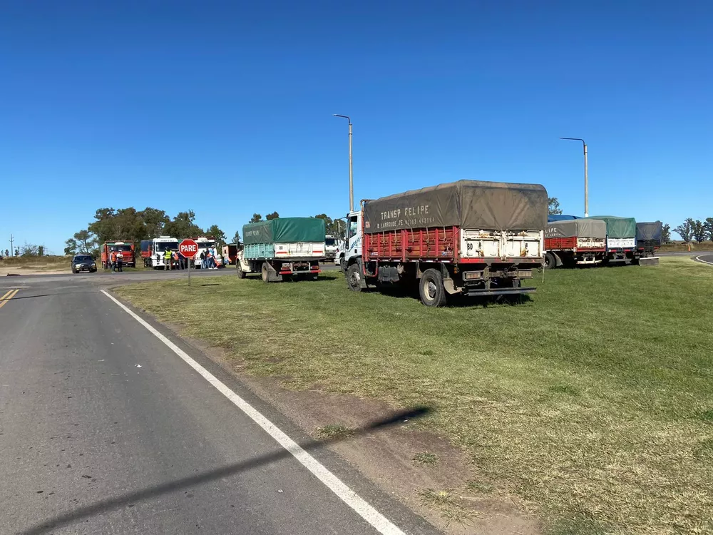 WhatsApp Image 2022-04-13 at 11.26.42 AM