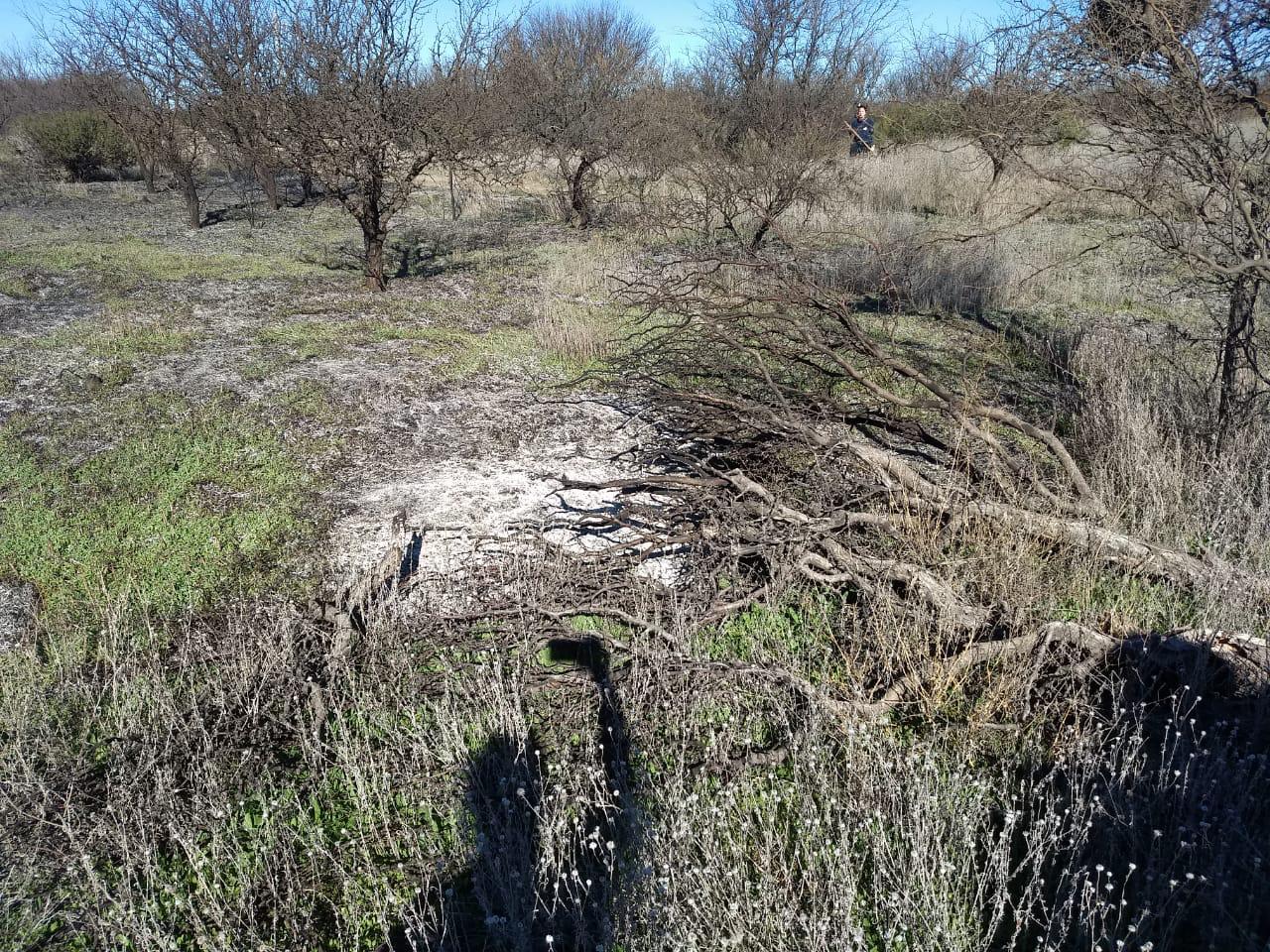 96389203-6631-4ebd-a4fb-63a6a20aa57b