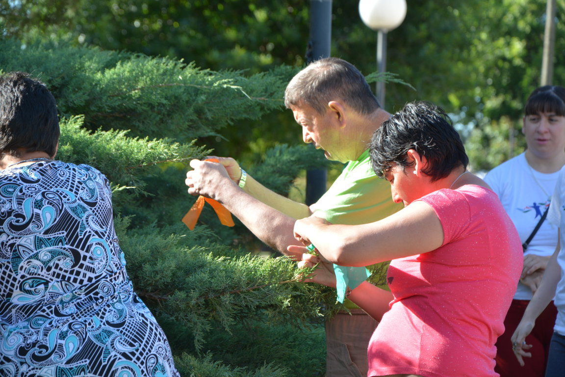 DSC_8036 (FILEminimizer)