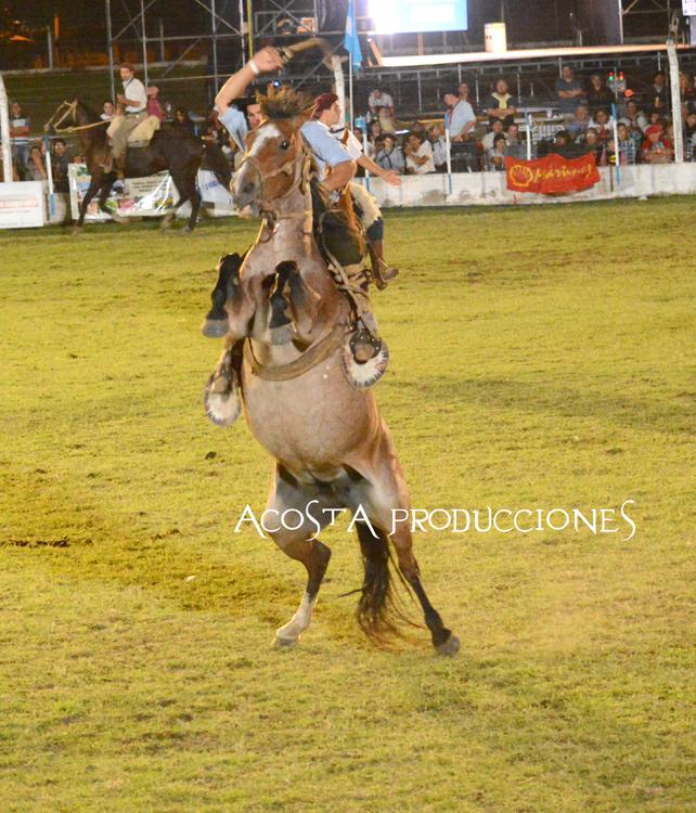 Fiesta del Hachero 5