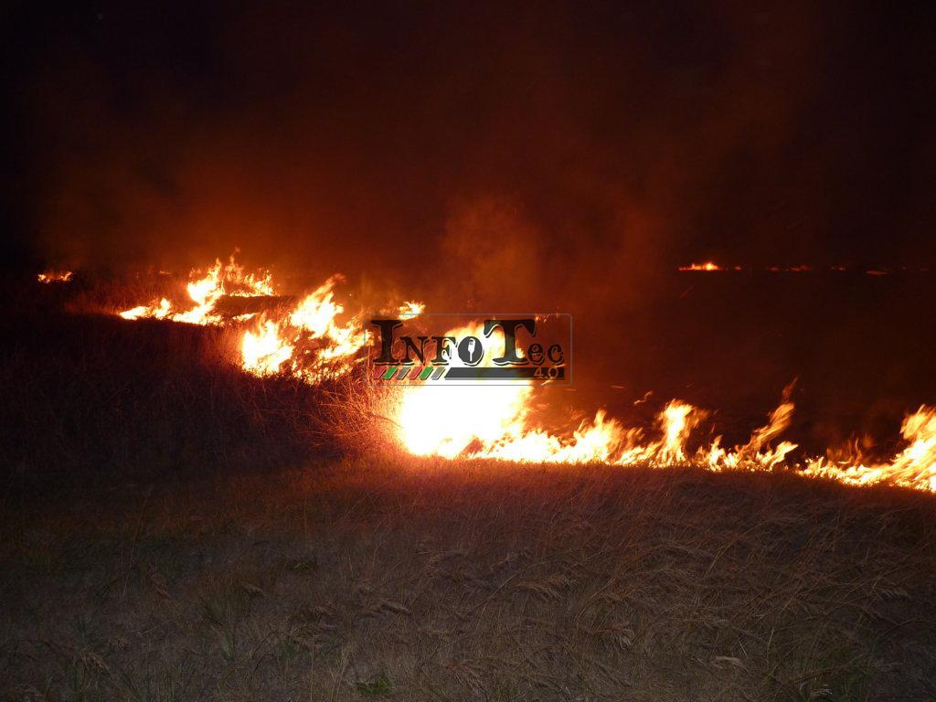 P1250719 (FILEminimizer)