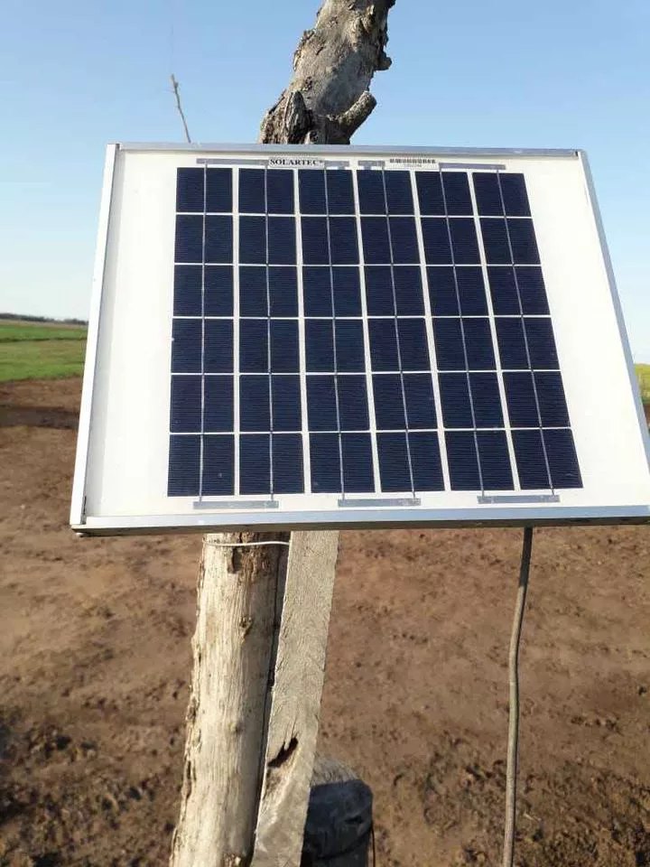 241775951_4732821920084140_5483605210801058569_n