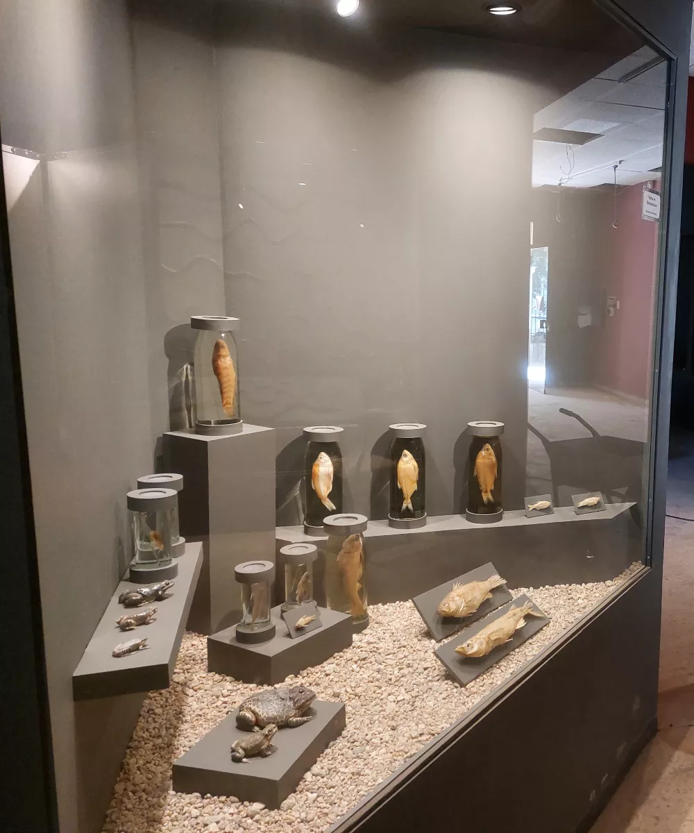 574331_santa-rosa-museo