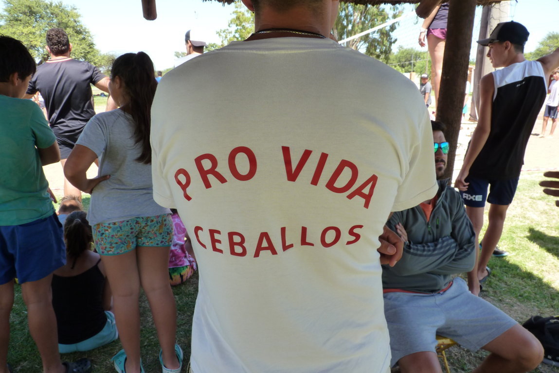 P1470066 (FILEminimizer)