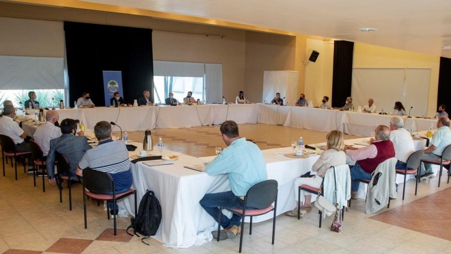 605a6f88e3fb8 (FILEminimizer)