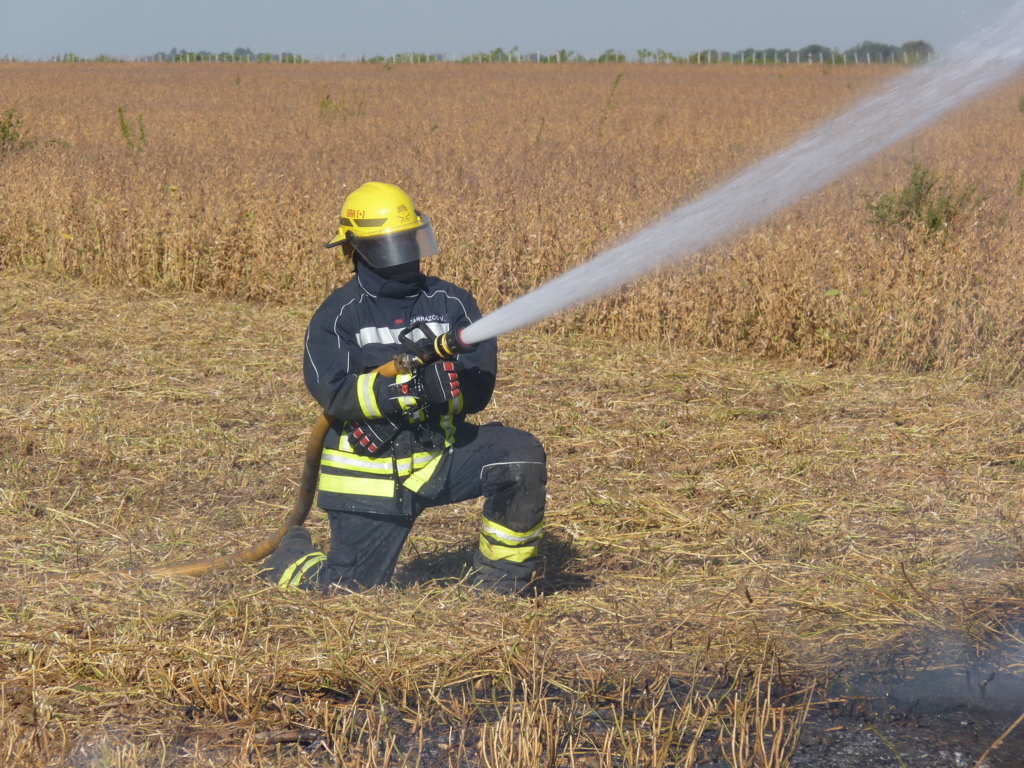 P1350546 (FILEminimizer)