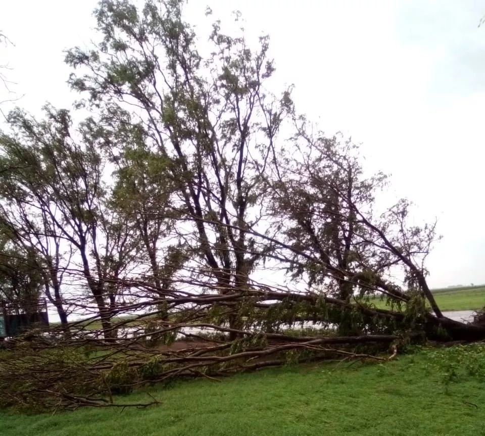 6c0dadbd-f3b7-4f6b-b5e7-49ebd75829d8