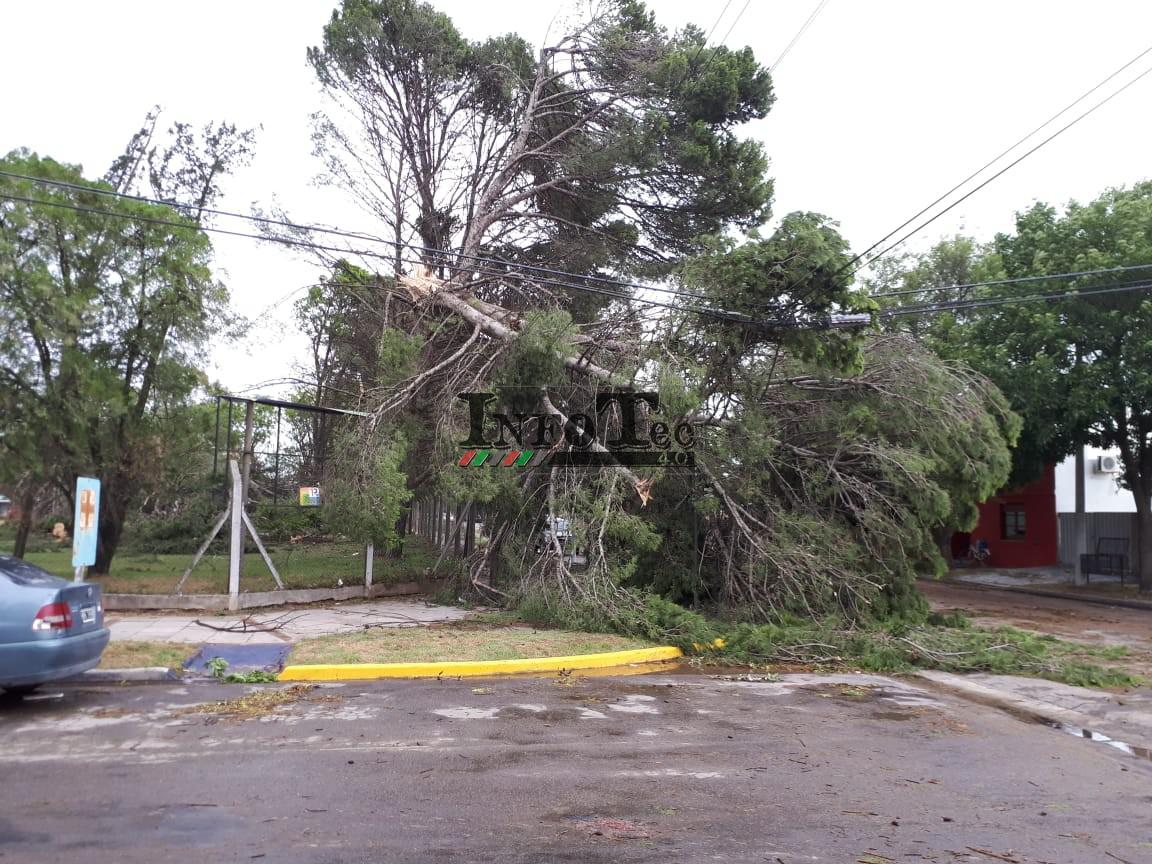 895961cb-f505-4e45-a130-9631414c8442