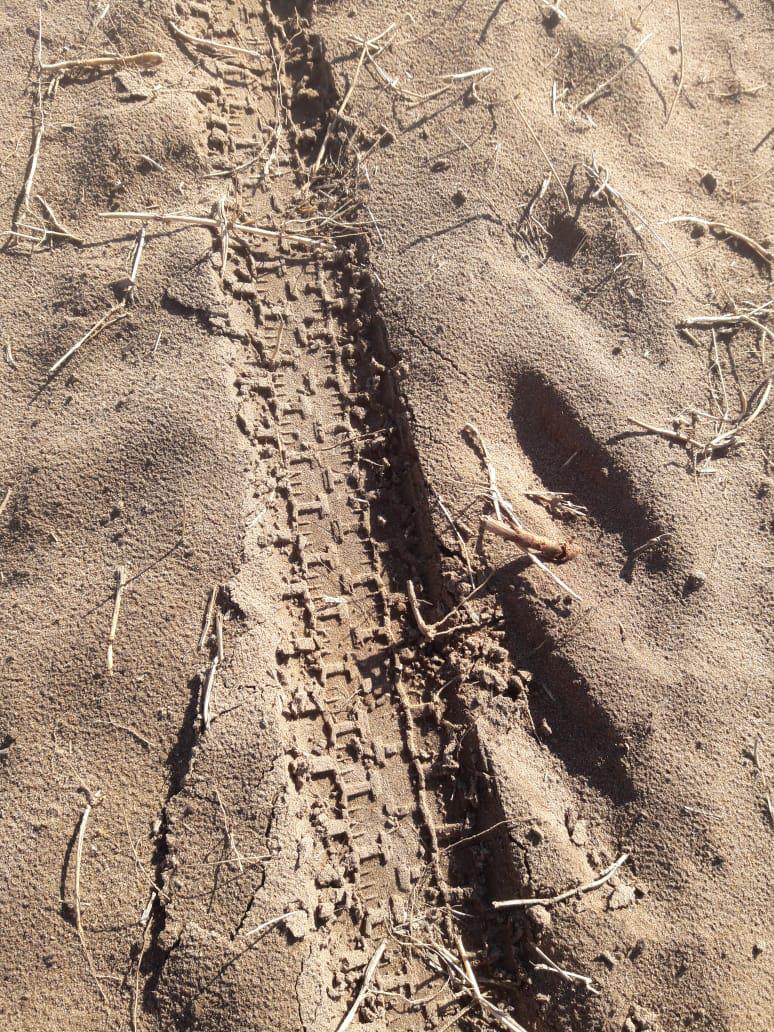 b9a1b19e-5e16-4298-917b-53b8c2a681b7