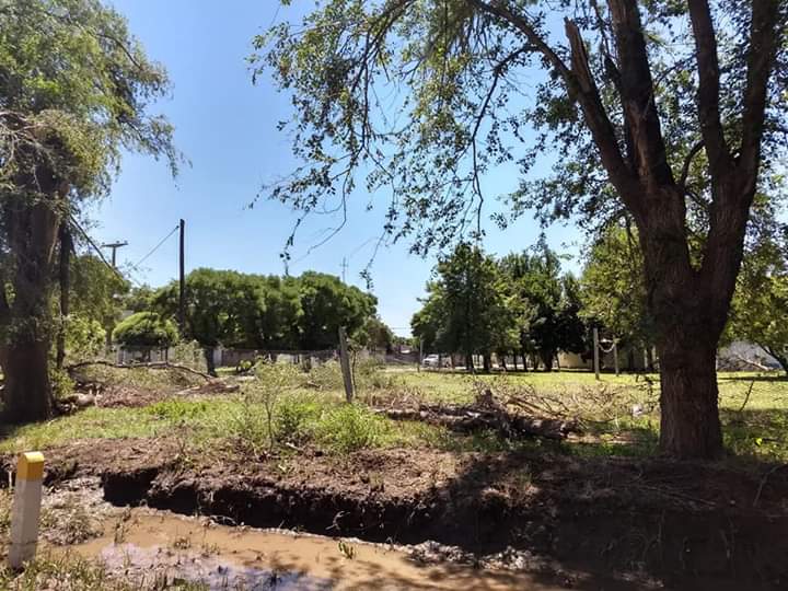 FB_IMG_1546189651927