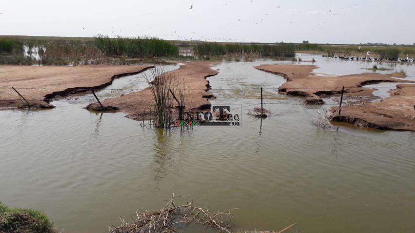 20180217_154631 (FILEminimizer)