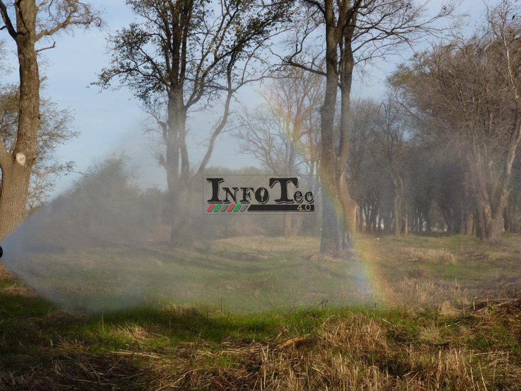 P1210609 (FILEminimizer)