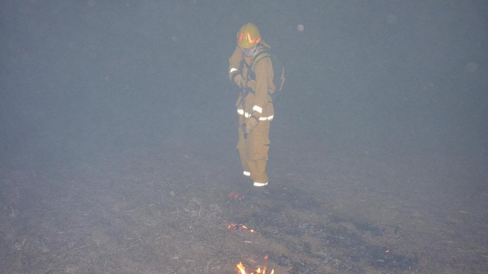 P1050496 (FILEminimizer)