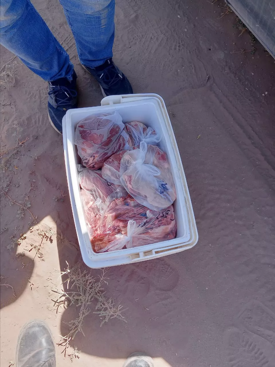 156094_whatsapp-image-2023-03-09-at-08.46.16