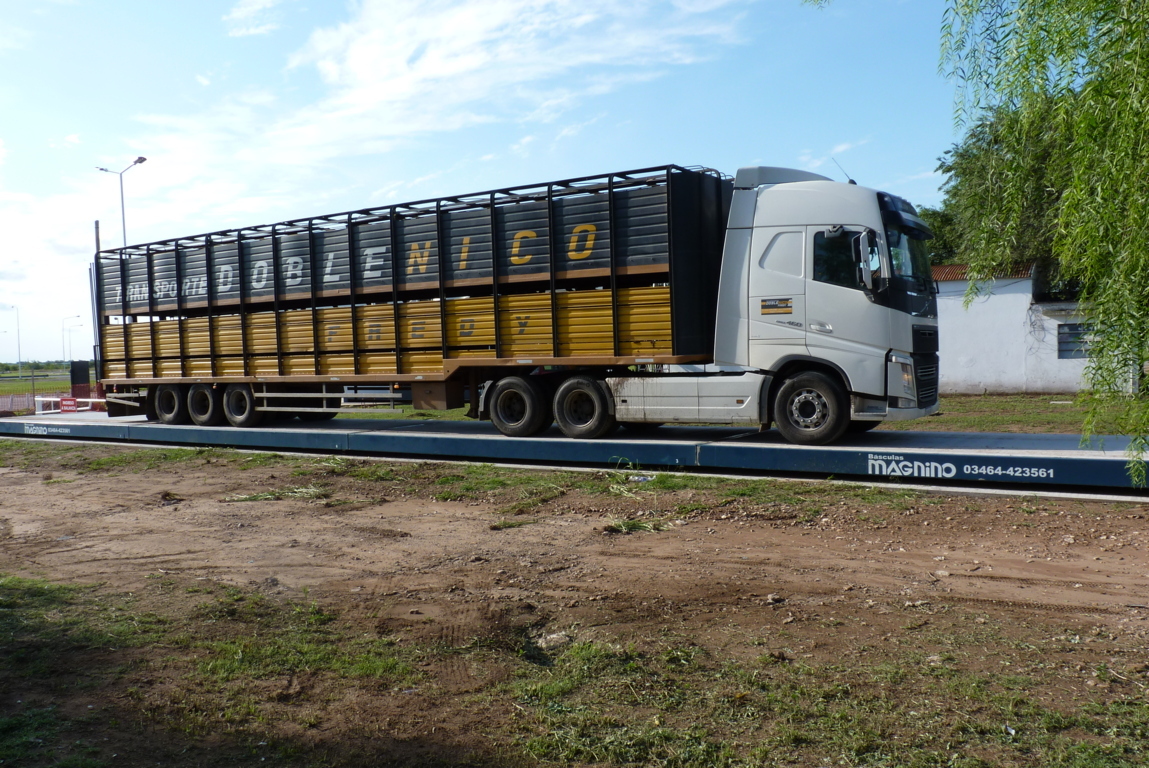 P1460593 (FILEminimizer)