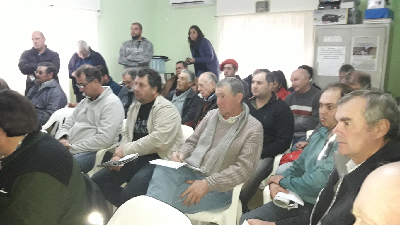 VENTA DE LANA PORLICITACIÓN CROYPA ASOPROMA 012 (FILEminimizer)