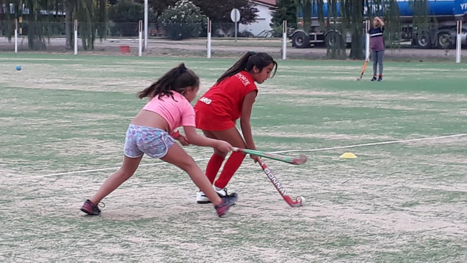 53314616_2338445942833731_7146809079279648768_n