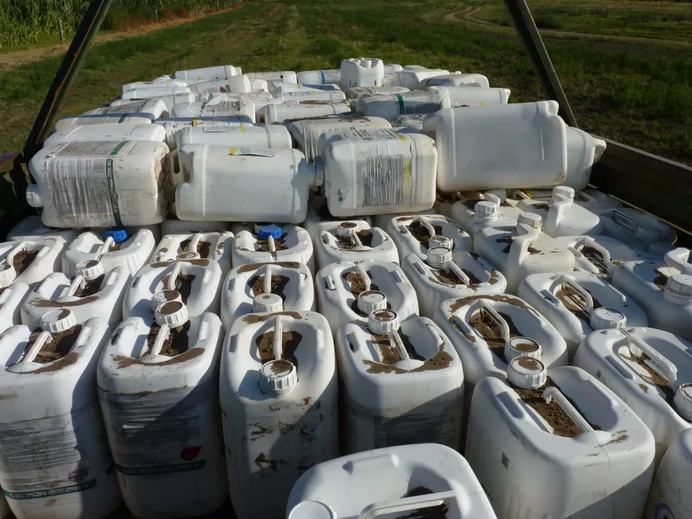 campo limpio 4 (FILEminimizer)