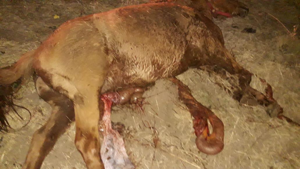 78cc743e-0900-45f5-8b50-decfaa30b636