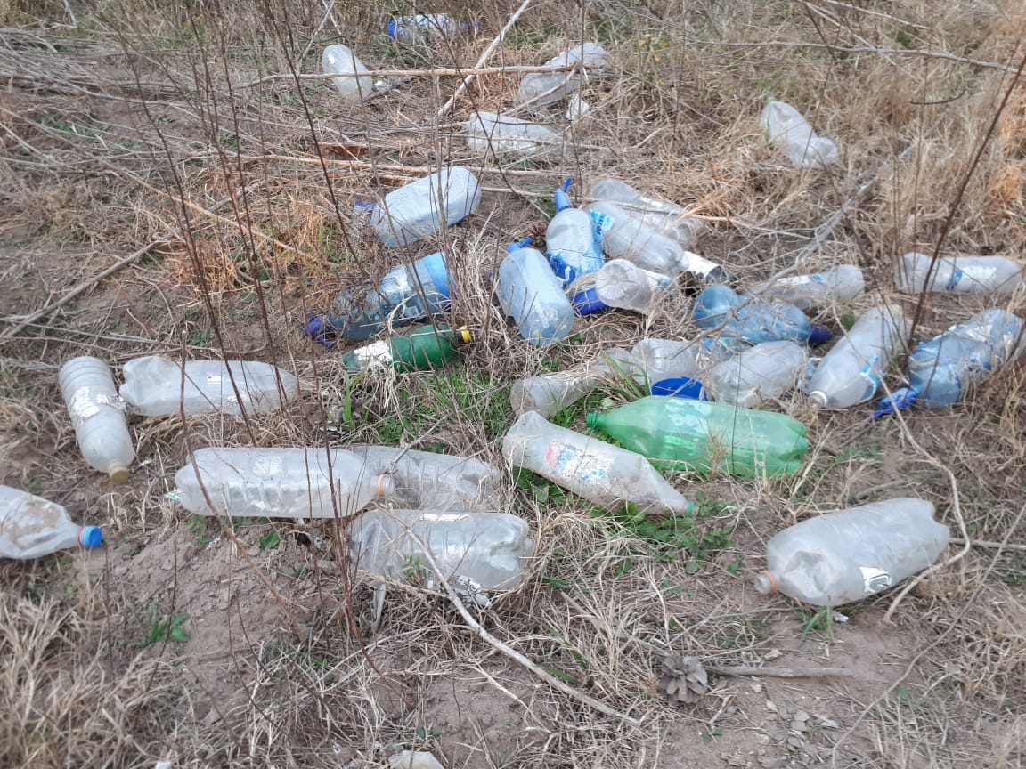 858331f7-b6d4-40c7-b256-7c482905b76b