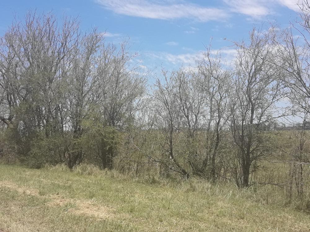 IMAGENES DE LOS DESATRES DE TORMENTA 025