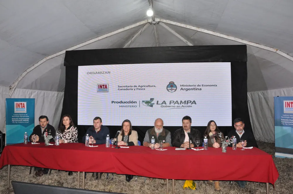 inta anguil dia del suelo