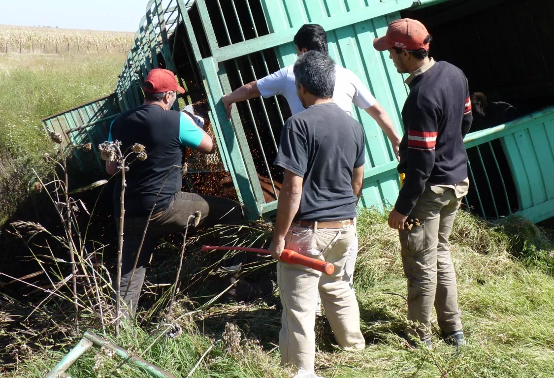 vuelco 10 (FILEminimizer)