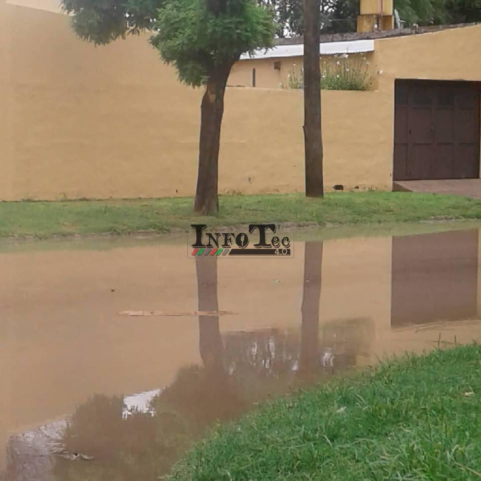 51734066_1797074977063372_771167030173761536_n