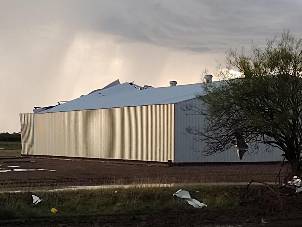 IMG_20201224_194239937 (FILEminimizer)