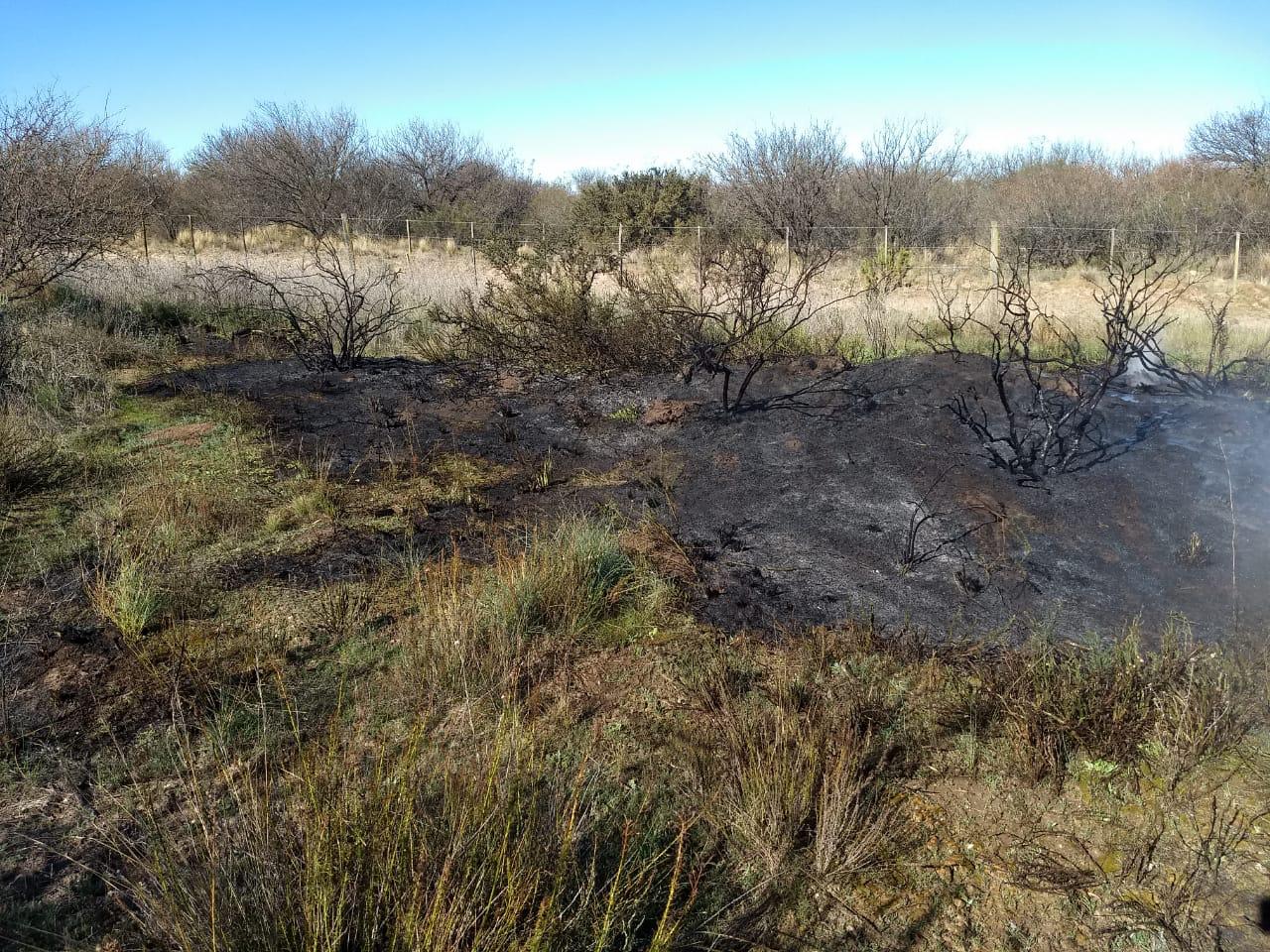 1ee5f7bb-63df-439e-a2ae-9aa38b873a07