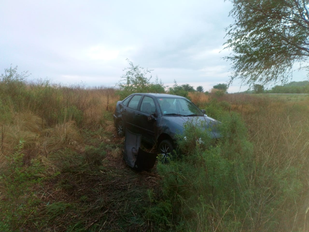 314239dd-7ecf-4596-a456-0a1f49c08a6c