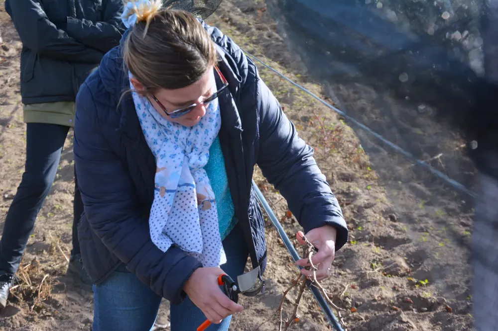 414246_img-20230706-wa0055