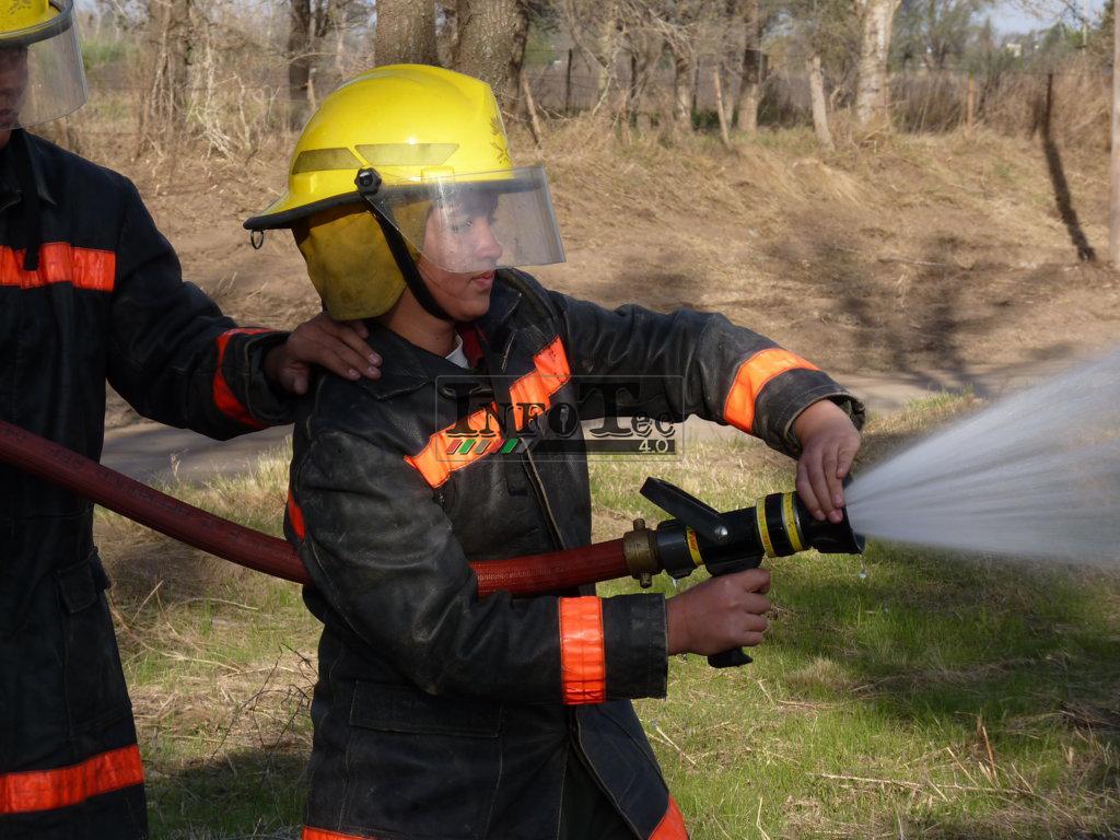 P1210595 (FILEminimizer)