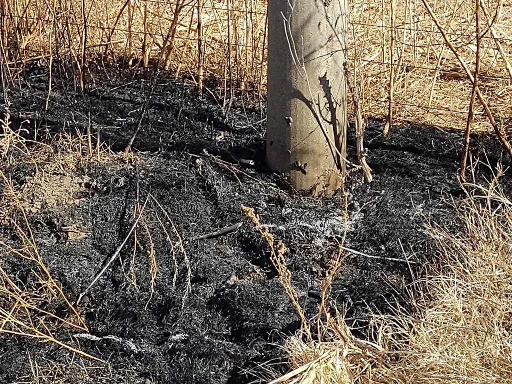 IMG_20220518_131204828 (FILEminimizer)