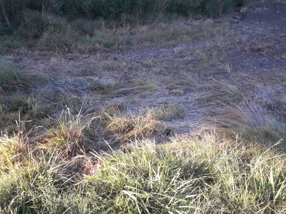 53229610_1142549102606535_1931397718714875904_n