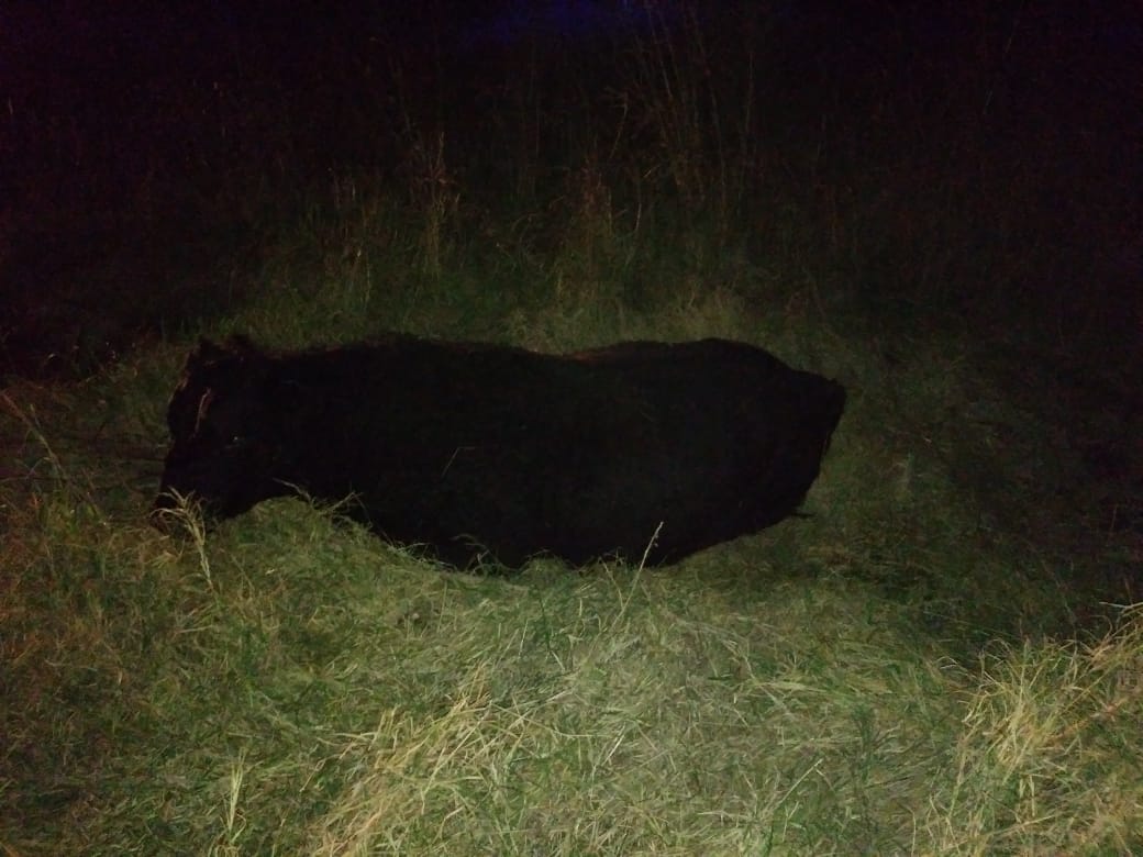 d1576e3b-2722-43c1-a992-984ce2551c18