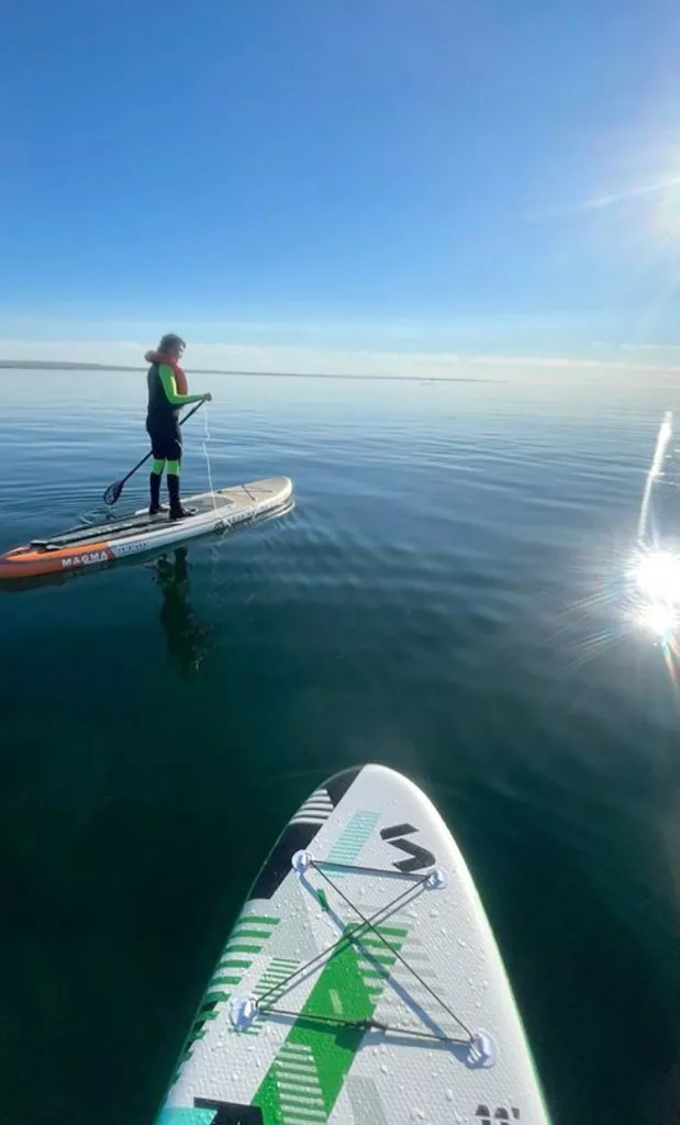 ballenas-madryn-3-619x1024